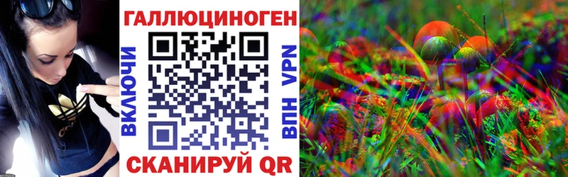 Купить  Иноземцево  Галлюциногенные грибы Psilocybine cubensis 
